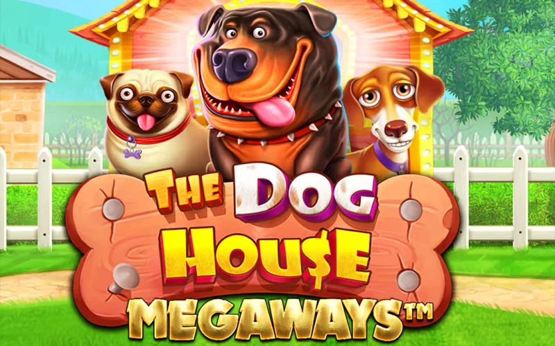 Gana premios con los perros en The Dog House en Paripesa.